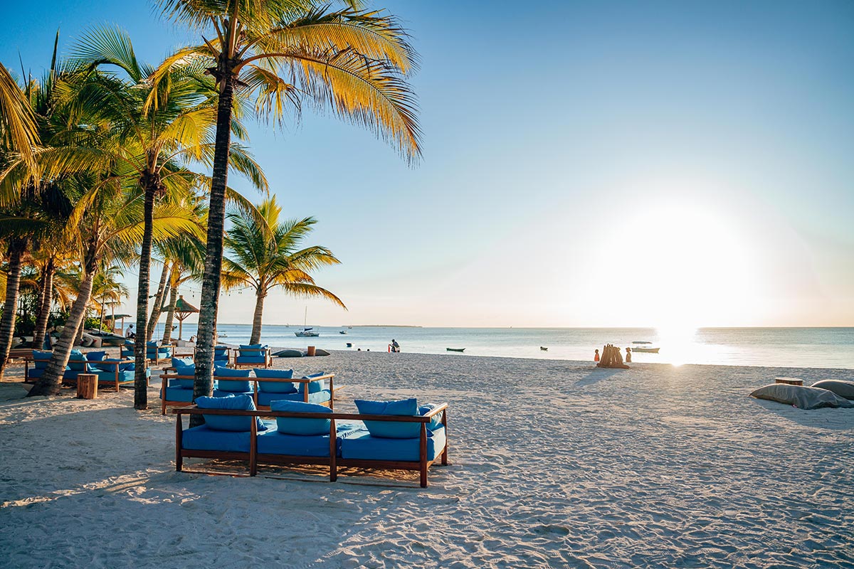 سياحي فاخر (VIP) لمدة 8 أيام في زنجبار، مصمم لتقديم أقصى درجات الخصوصية والرفاهية،